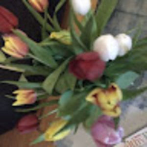 Meet your Posher, Diane g